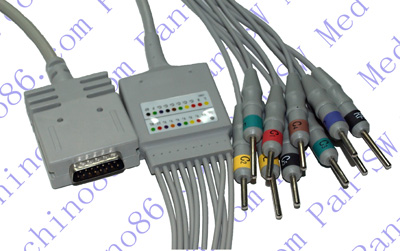 ECG expert