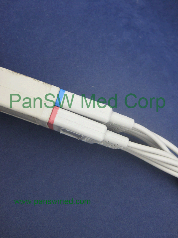 ten leads ECG trunk cable