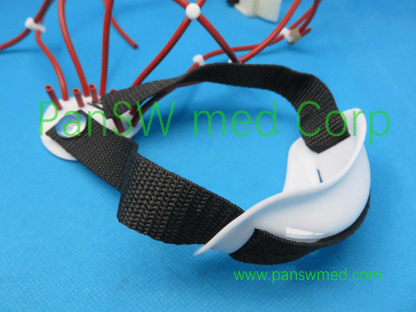 compatible EEG cap