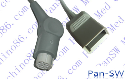 Datex to Utah IBP cable