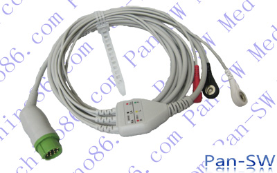 ECG07