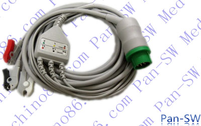 ECG08