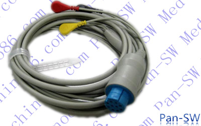 ECG09