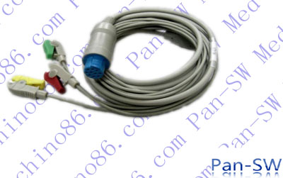 ECG09C