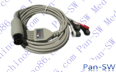 ECG10