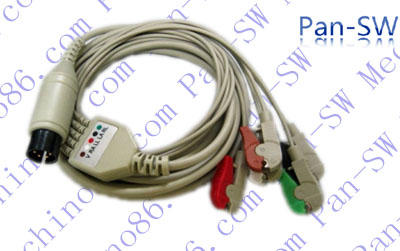 ECG10C