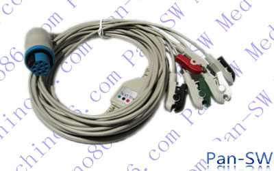 ECG12