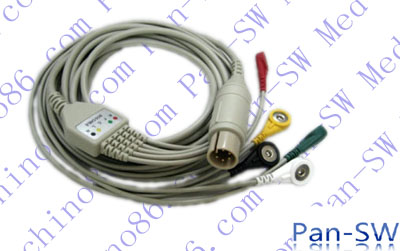 ECG13