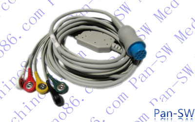 ECG14