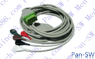 ECG15