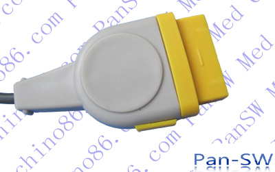 GE temperature probe