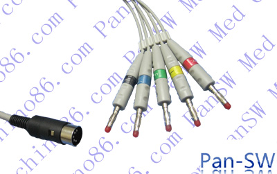 Ecafix ECG cable