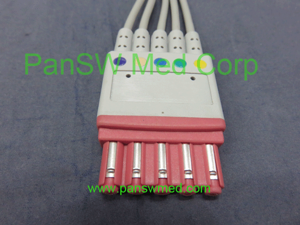 compatible ecg leads for Philips