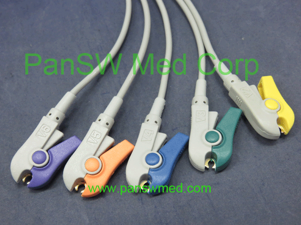 compatible ecg leads for Philips