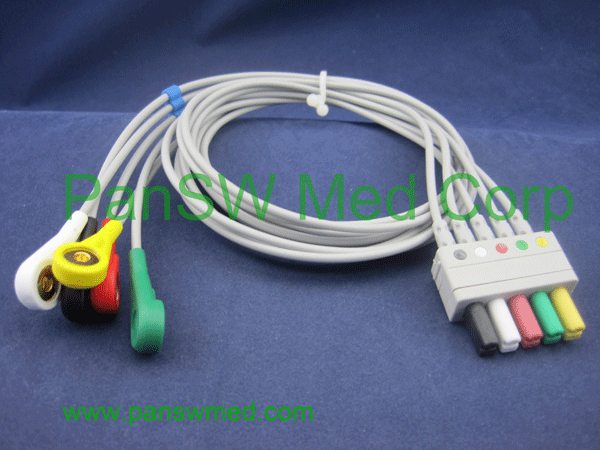 compatible ecg leads for siemens
