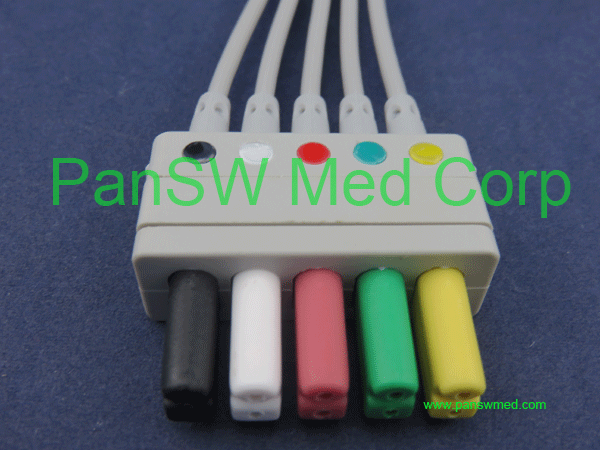 siemens ECG leads