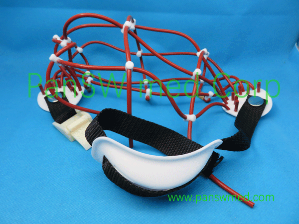 EEG Cap1 - PanswMed