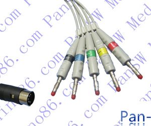 Ecafix Ecg Cable – PanswMed