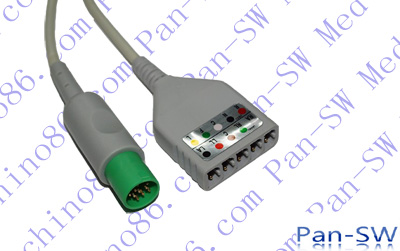 Hellige Five Lead ECG Trunk Cable - PanswMed