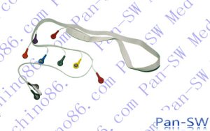 Mortara Ten Lead Holter Cable - PanswMed