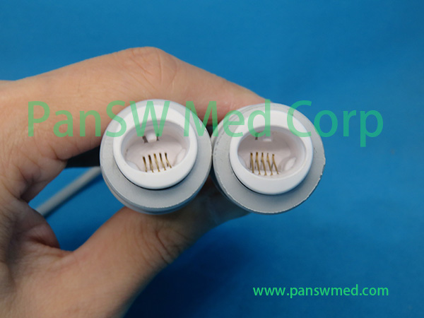 2 Panswmed
