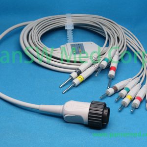 Compatible Kenz PC 104 ECG Machine Patient Cable – PanswMed