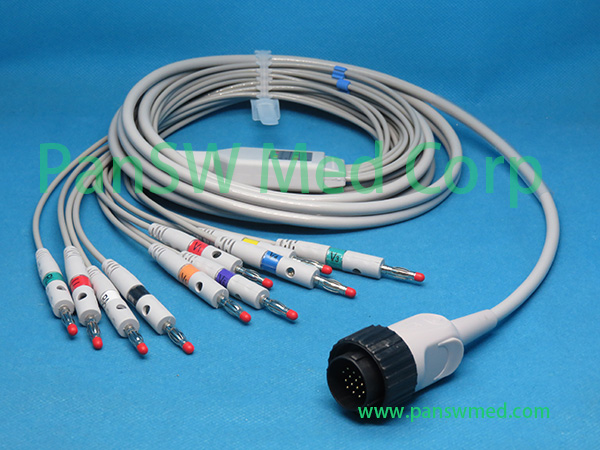 Compatible Kenz ECG Cable 10leads AHA Banana – PanswMed
