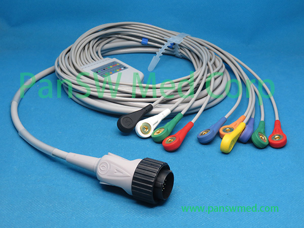 Compatible Kenz ECG Cable 10leads AHA Snap – PanswMed