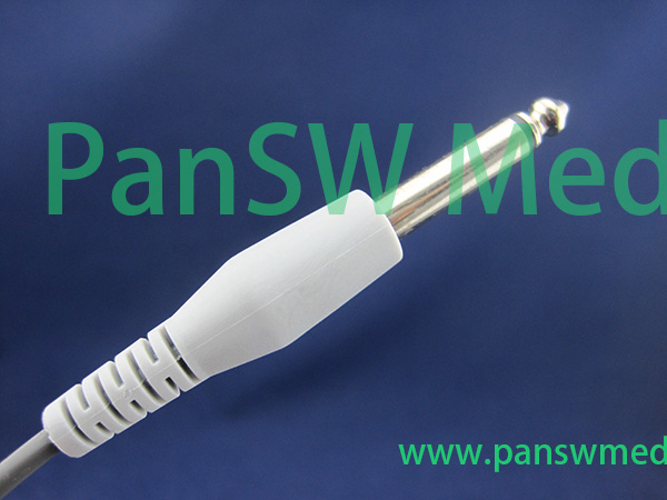 2 Panswmed