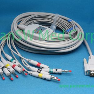 Compatible Mindray Beneheart R3 R12 ECG Cable Ten Leads - PanswMed