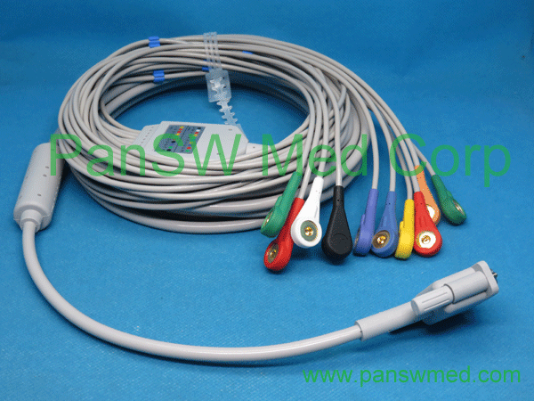 Compatible Philips ECG Cable Ten Leads AHA Snap – PanswMed