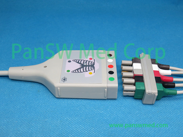 Compatible Philips Ecg Trunk Leads M1520A M1623A Connection2 – Pan-SW Med