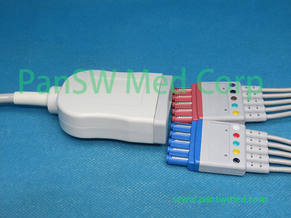 Compatible Philips M1949A ECG With Leads M1668A6 - PanswMed