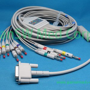 2 - PanswMed