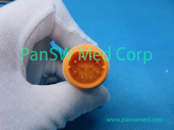 2 Panswmed