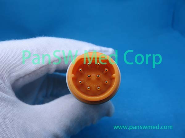 2 Panswmed