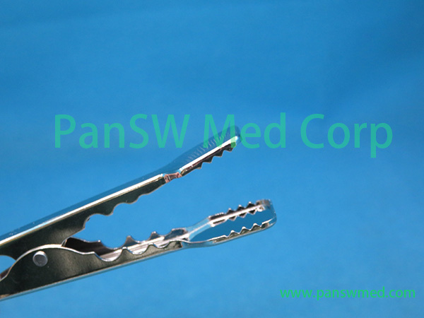 Compatible Animal Use ECG Electrodes Adapter 6 – PanswMed