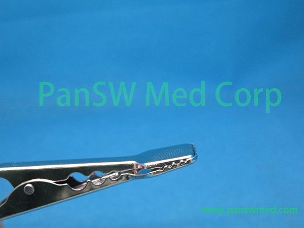 Compatible Animal Use ECG Electrodes Adapter 7 – PanswMed