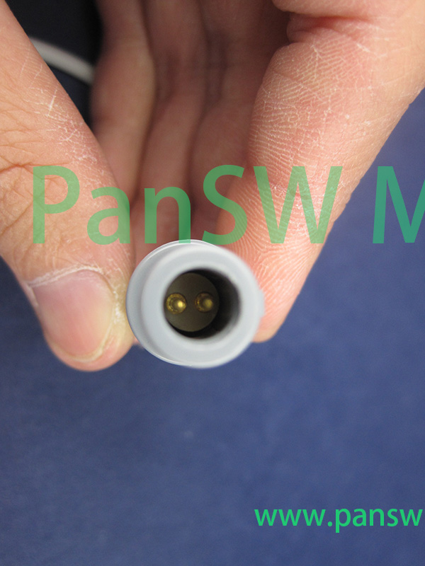 2 Panswmed