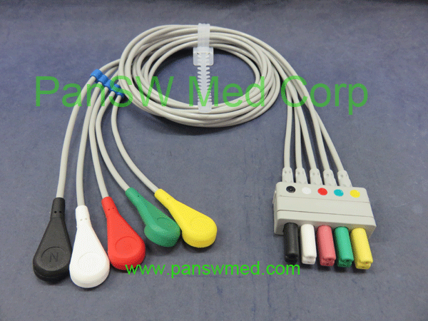 Compatible Ecg Leads For Siemens 5 Leads IEC Color Snap – PanswMed