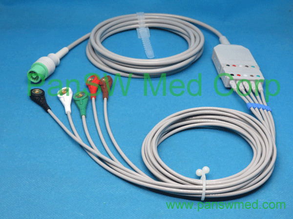 Compatible Fukuda Dynascope ECG Trunk Leads 5LEADS AHA Snap (2) – PanswMed