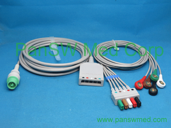 Compatible Fukuda Dynascope ECG Trunk Leads 5LEADS AHA Snap – PanswMed