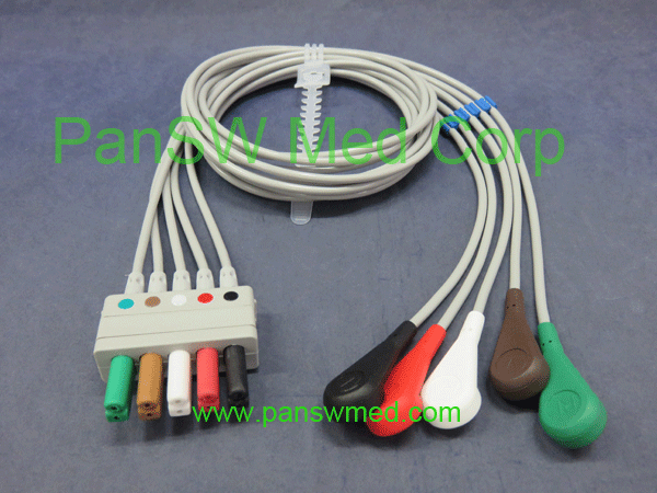 Compatible Siemens ECG Leads AHA Color Snap 5 Leads - PanswMed