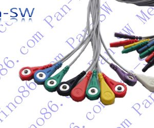 Holter 10 Leadwire - PanswMed