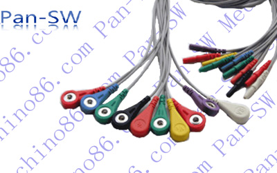 Holter 10 Leadwire - PanswMed