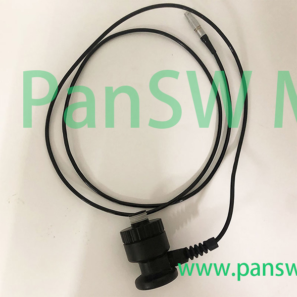2 Panswmed