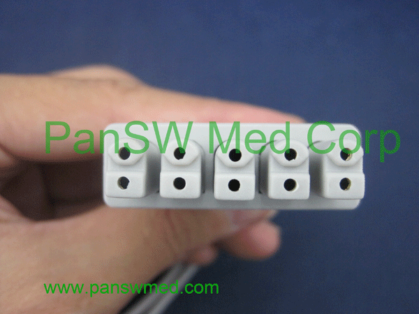 Siemens Drager ECG Leads Color IEC – PanswMed
